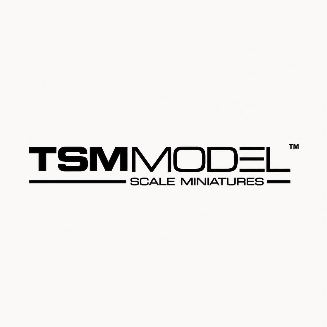 TSM Model