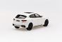 Maserati Levante Bianco BirdCage White