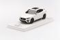 Maserati Levante Bianco BirdCage White