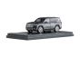 Toyota Land Cruiser LC300-ZX Grey