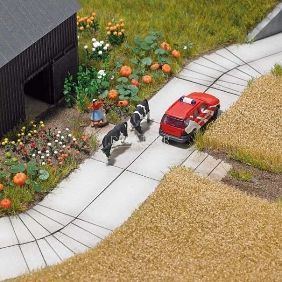 Concrete-slab Pavement N