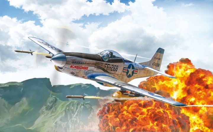 F-1D Mustang Military Airplane Korean War 1941