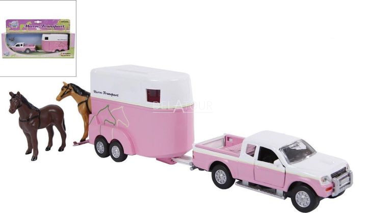 Mitsubishi met Paardentrailer 27cm