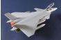 Chinese J-20S Mighty Dragon