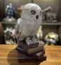 Harry Potter Hedwig Owl