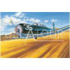 CJ-6 Fighter