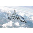 F-4 E/F Phantom II Airplane Military 1960