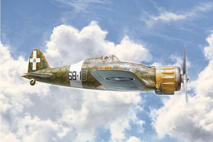 Aermacchi MC.200 Military Airplane