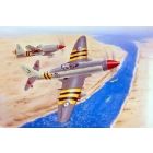 Westlan Wyvern S.4