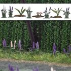 Wilde Lupines ,Varens &Paddenstoelen HO