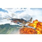 F-1D Mustang Militair Vliegtuig Koreaanse Oorlog 1941