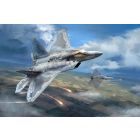 F-22A Roofvogel