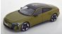 Audi RS E-Tron GT 2022 Olive Green